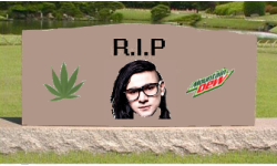 Skrillex was Anime