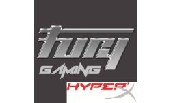 The Fury Gaming