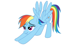 I want to come in Rainbow Dash