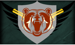 Battle Bears Team