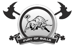 Fury of Bulls