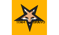 TEAM BRAVO UA