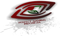 Perfect Gaming Indonesia 2