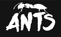 Empire Ants (MLG)