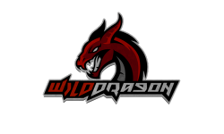 WildDragon.gg