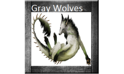 Gray'Wolves