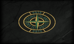 Stone_Island_casual