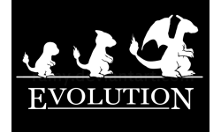 TEAM EVOLUTION PE