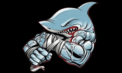 Mad Sharks