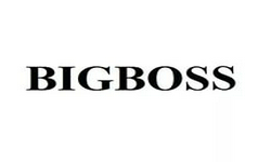 Team_BigBoss