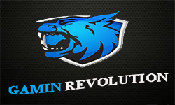 Gamin Revolution