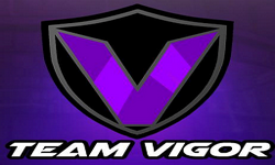 Team Vigor eSports