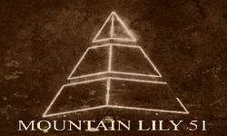 MOUNTAIN LILY 51