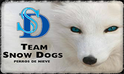 TEAM SNOW DOGS