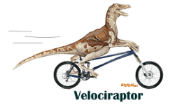 Velociraptory