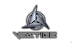 Team Vestige