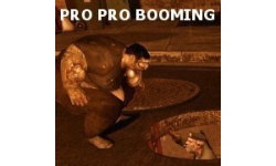 Pro Pro Booming