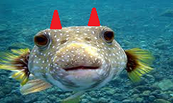 Important Fish