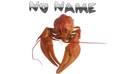 NoName Lobsters