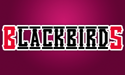 Black_Birds!