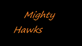 Mighty Hawks