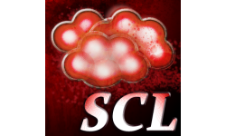 SCL Warriors