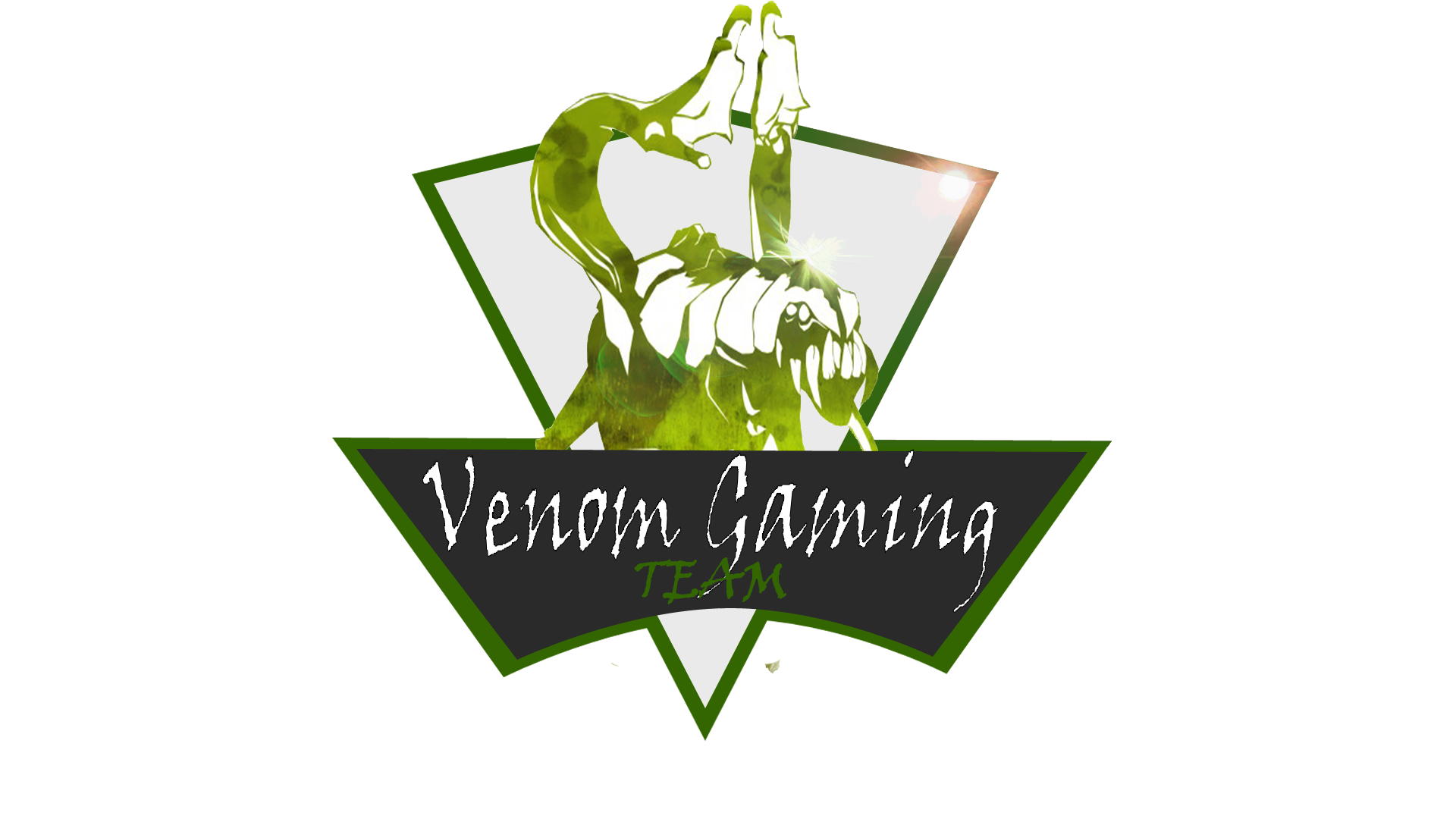 Venomancers Gaming