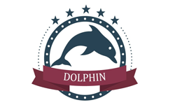 Dolphin Team
