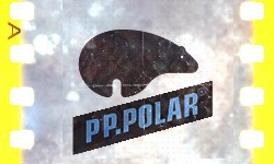 POTNYE PARNY.POLAR