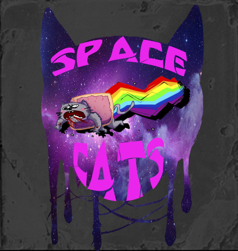 Space*Cats