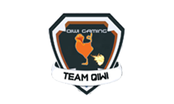 Team Qiwi