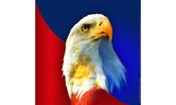 Philippines Eagle