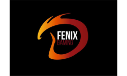 Fnyx gaming