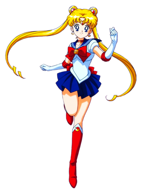 For Sailor Moon