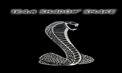 Team Shadow Snake