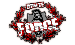 TeamBruteForce