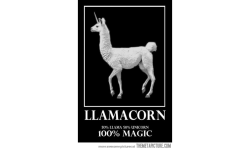 LlamaLlama's