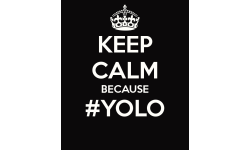 The Yolo Team