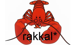 Rakkal*