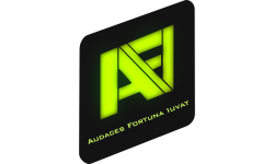 Audaces Fortuna Iuvat