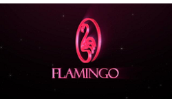 Flamingos