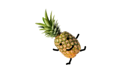 Ananas Gaming2.0