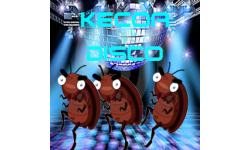 Kecoa Disco