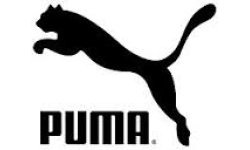 Pichi Pumas