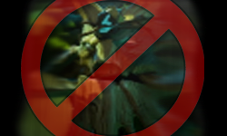 NO TR3