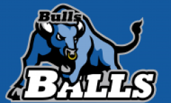 Bulls Bals