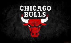 ChicagoBullsFive