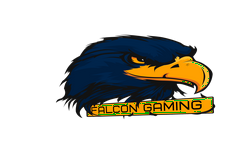 Falcon Gaming DotA 2