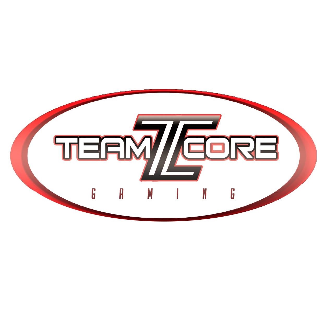 Team.Core.Gaming