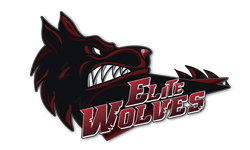 Elite Wolves D2-gg